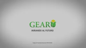 Gear